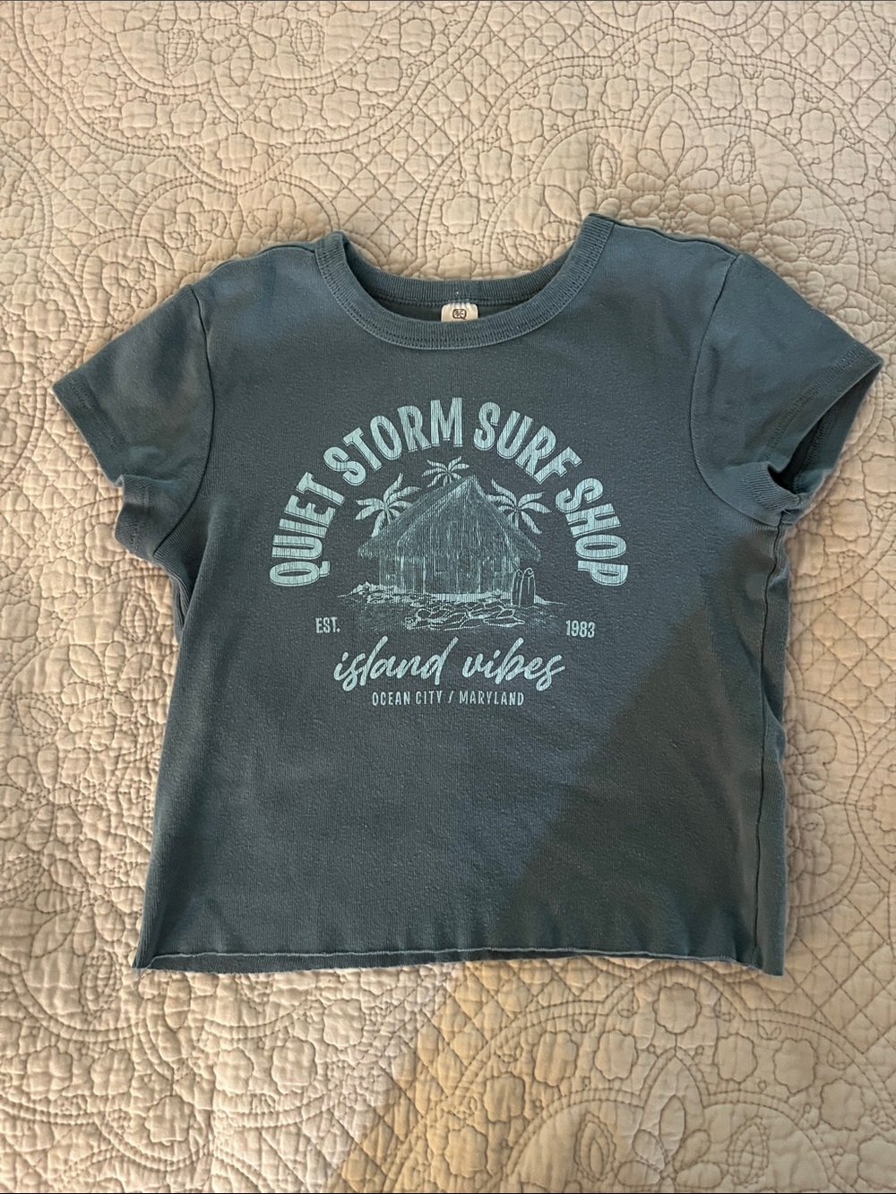Quiet Storm Surf Shop Teal Graphic Tee - Island Vibes (XS) Baby Tee